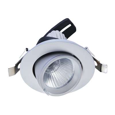 20W 30W 40W Cob Led Spotlight Used For Shopping Malls Hotels The Ceiling Spotlight Led